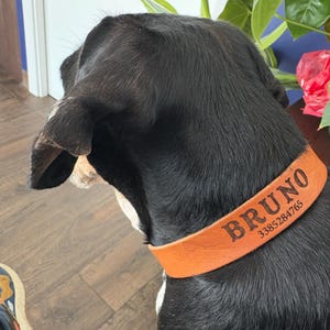 ARLOTTI ha añadido una foto de su compra