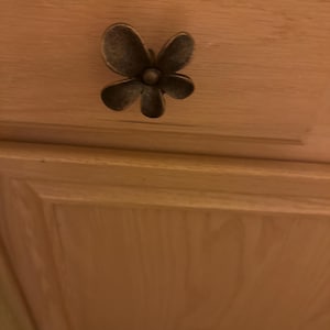 Susan added a photo of their purchase