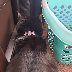 Angel added a photo of their purchase