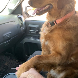 Mackenzie added a photo of their purchase