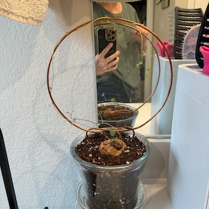 Etsy buyer added a photo of their purchase