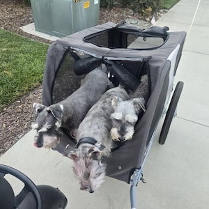 Elizabeth added a photo of their purchase