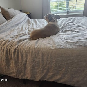 Kirsten ha añadido una foto de su compra