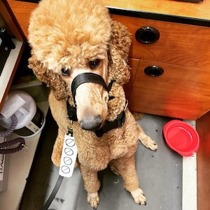 Anna added a photo of their purchase