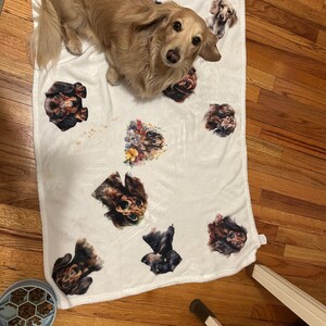 Amber added a photo of their purchase