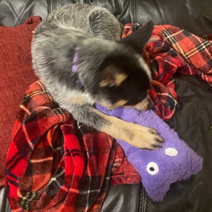 Kyle added a photo of their purchase