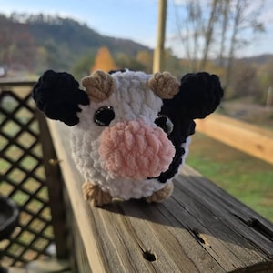 Ashley ha añadido una foto de su compra