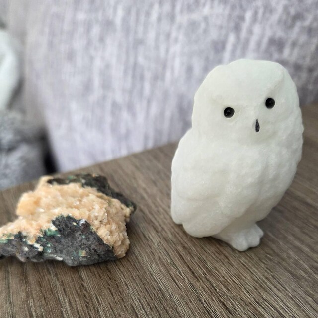 White Jade Owl Crystal | Natural Stone Carved White Snow Owl