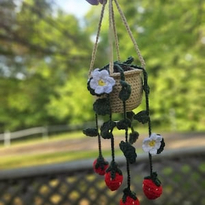 Shasta added a photo of their purchase