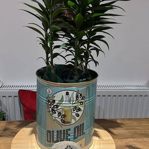 Paulette added a photo of their purchase