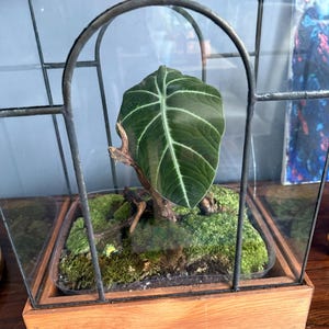 Martine added a photo of their purchase