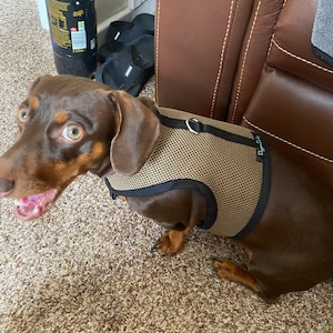 Grace ha añadido una foto de su compra