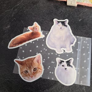 Oliviagotchi added a photo of their purchase