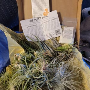 Tami adicionaram uma foto da sua compra