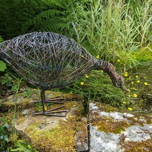 Steve ha añadido una foto de su compra