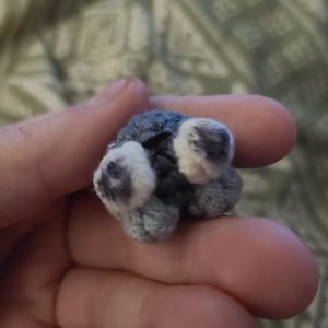 Kali ha añadido una foto de su compra