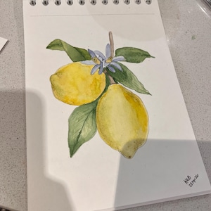 Etsy buyer added a photo of their purchase