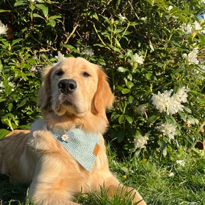 Virginia heeft een foto van de aankoop toegevoegd