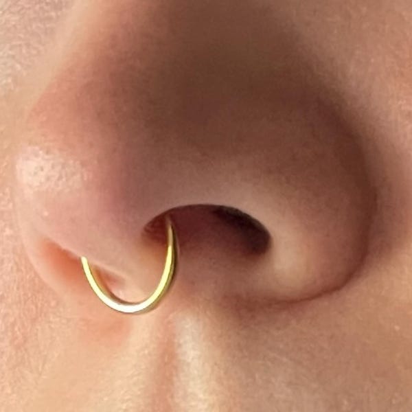 Followmoon 316L Surgical Steel Nose Rings Hoop Septum Clicker Hinged Segment Ring Lip Ear Piercing Earrings Cartilage Helix Tragus Conch Rook 20g 18g
