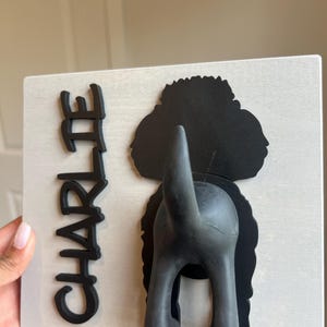 Didi hat ein Foto des gekauften Artikels hinzugefügt