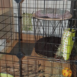 Mushu added a photo of their purchase