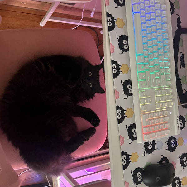 Susuwatari Studio Ghibli Nintendo Switch Case / Nintendo Switch OLED ...