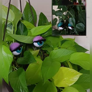 TRACY a ajouté une photo de son achat