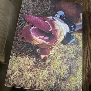 Inactive account added a photo of their purchase