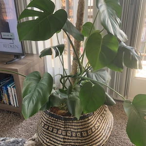 Emma added a photo of their purchase