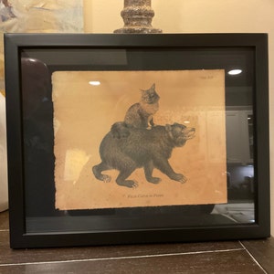 Cat Riding Moose Abyssinian Cat Riding Moose Vintage Collage | Etsy