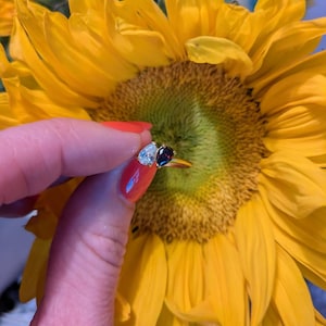 Kelsey さんが購入した商品の写真を追加しました