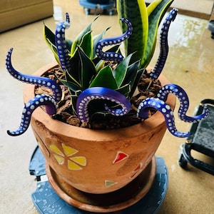 Cathie added a photo of their purchase