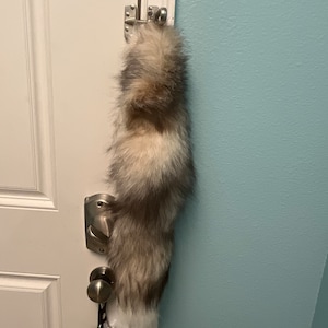 Ember ha añadido una foto de su compra