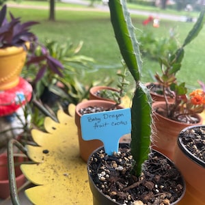 Robyn ha añadido una foto de su compra