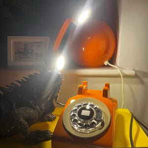 adam added a photo of their purchase