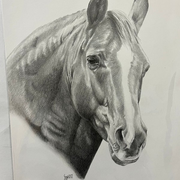 Custom Dog Ears Pencil Drawing Etsy