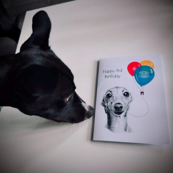 Yorkie Yorkshire Terrier no. 6 Dog Pet Sympathy/condolence/loss/note