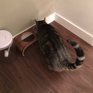 Kathy added a photo of their purchase