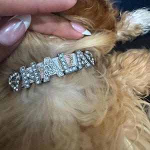 Lizette added a photo of their purchase