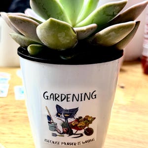 Karen added a photo of their purchase