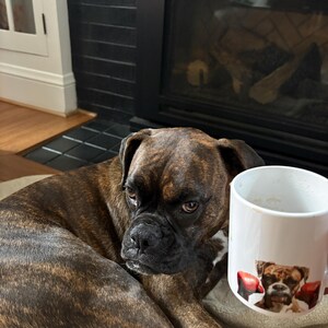 Aleson added a photo of their purchase