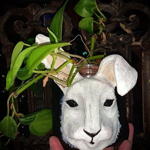 Tricia added a photo of their purchase