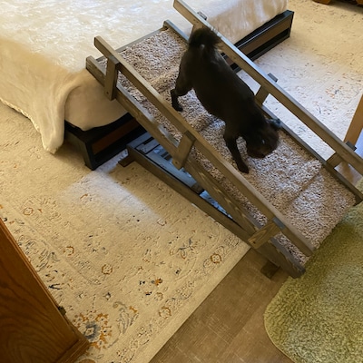 Strong 36 Ramp With or W/O Traction Bumps, FREE SHIP Dog Cat Pet, Dog ...