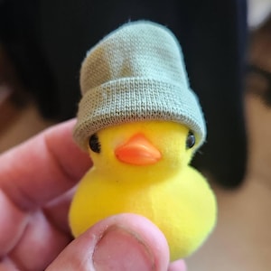 Jodi added a photo of their purchase