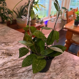 Amanda added a photo of their purchase