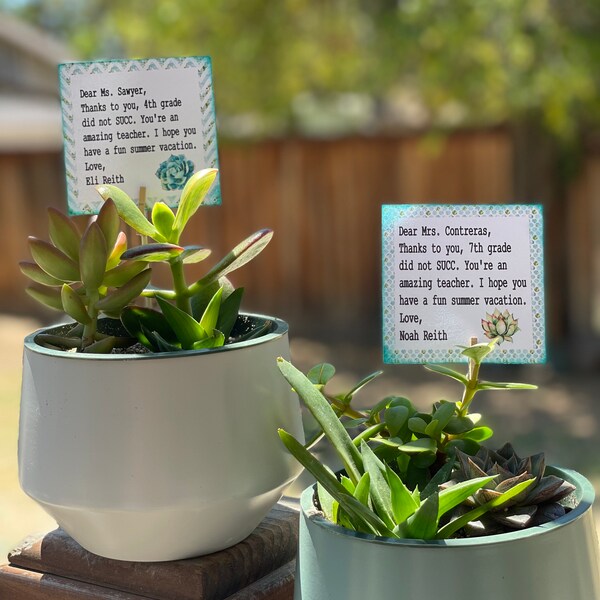 Succulent Paper Pack, Cactus Pattern, Botanical Seamless, Glass ...