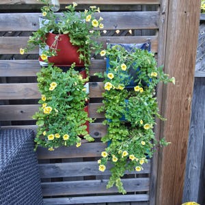 D added a photo of their purchase