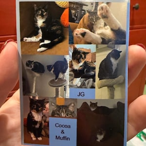 Ida added a photo of their purchase