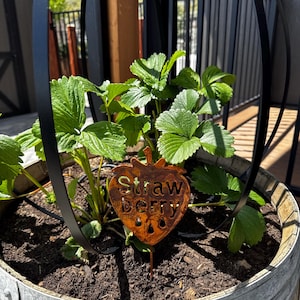 Carolyn added a photo of their purchase