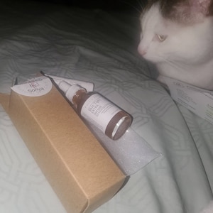 Inactive account added a photo of their purchase